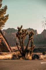 Snow Canyon